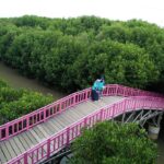 ASMARA BRUG - Fasilitas penunjang yang menghubungkan tracking di atas sungai ponggol. Nama asmara brug ini di ambil dari nama lokal brug yang berarti jembatan, dan asmara adalah perasaan cinta. Banyak wisatawan mengabadikan moment di atas jembatan bersama pasangan maupun keluarga tercinta.