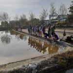 Proses pemanenan yang dilakukan dalam budidaya bandeng ini menawarkan aktifitas menangkap ikan bandeng di tambak secara ramai, dengan menggunakan jaring dan di tarik dari ujung lokasi ke lokai yang lain, tantanganya tentu menarik bagaimana kita harus menangkap ikan bandeng menggunakan tangan dan jaring