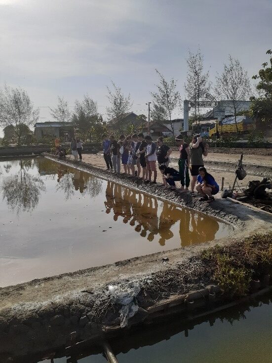 Proses pemanenan yang dilakukan dalam budidaya bandeng ini menawarkan aktifitas menangkap ikan bandeng di tambak secara ramai, dengan menggunakan jaring dan di tarik dari ujung lokasi ke lokai yang lain, tantanganya tentu menarik bagaimana kita harus menangkap ikan bandeng menggunakan tangan dan jaring