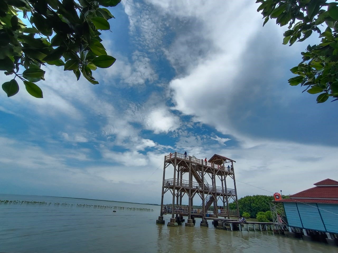 MENARA PANDANG - Fasilitas penunjang dalam tracking mangrove terdiri dari 3 menara pandang dengan ketinggian dan pemandangan yang berbeda. Dari ketinggian kita dapat menikmati hamparan hutan mangrove, laut Jawa, dan pegunungan Slamet dan Cerimai.